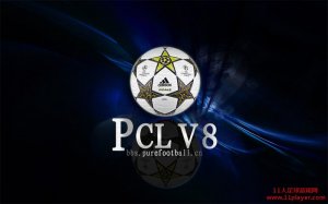 PES6ʵ10 PCL_v8 2012/2013