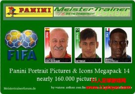 FM2013 ȫͷPanini Faces Megapack(16)